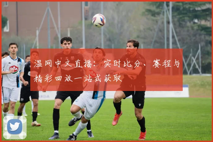 温网中文直播：实时比分、赛程与精彩回放一站式获取
